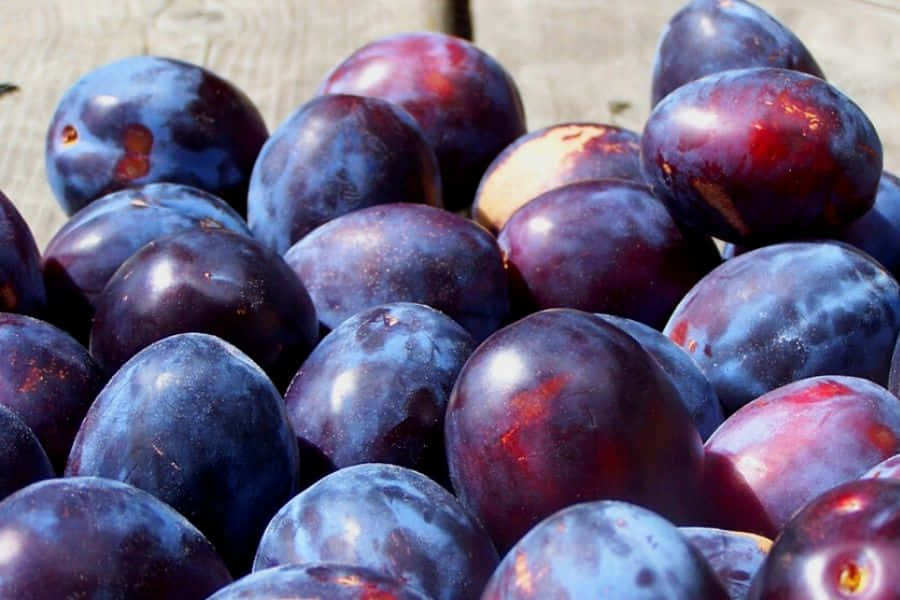 Fresh, juicy purple plums ready for you to enjoy Wallpaper