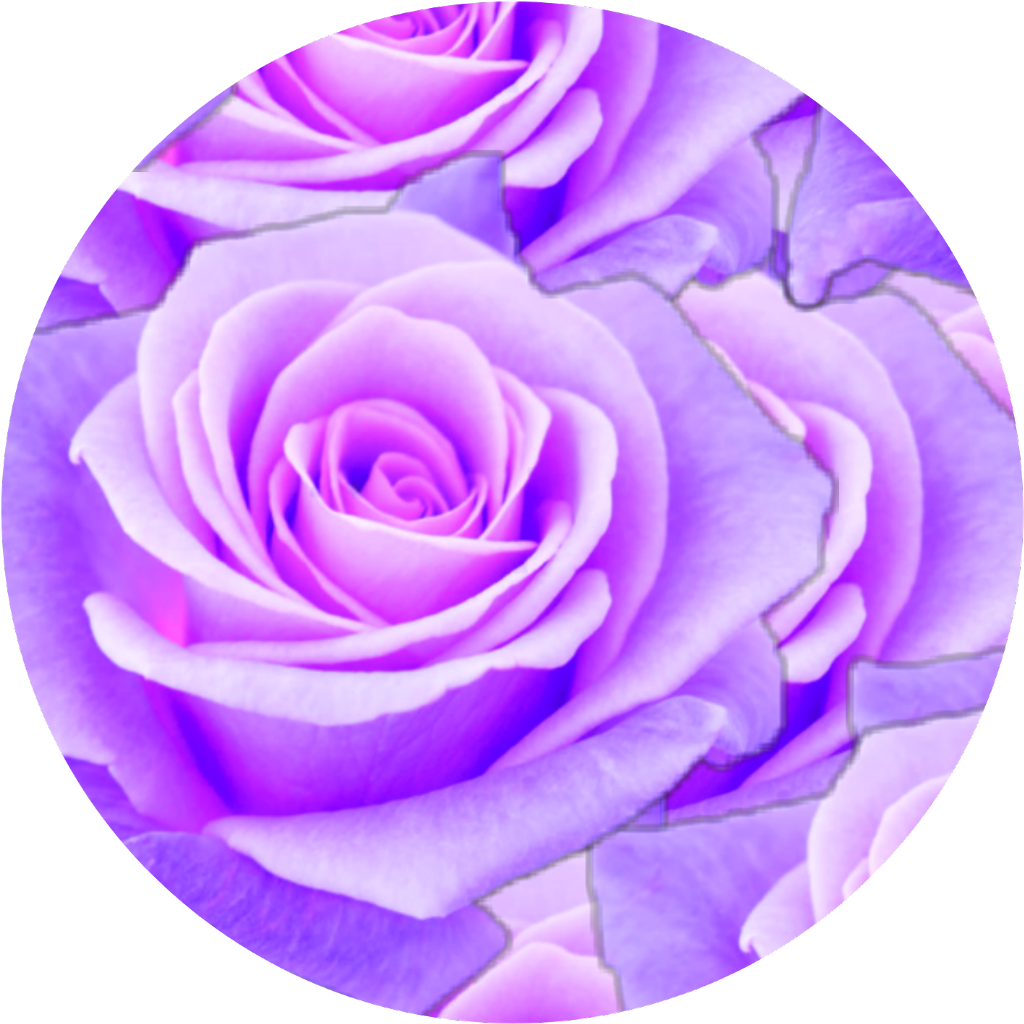 Purple Rose Cracked Texture PNG