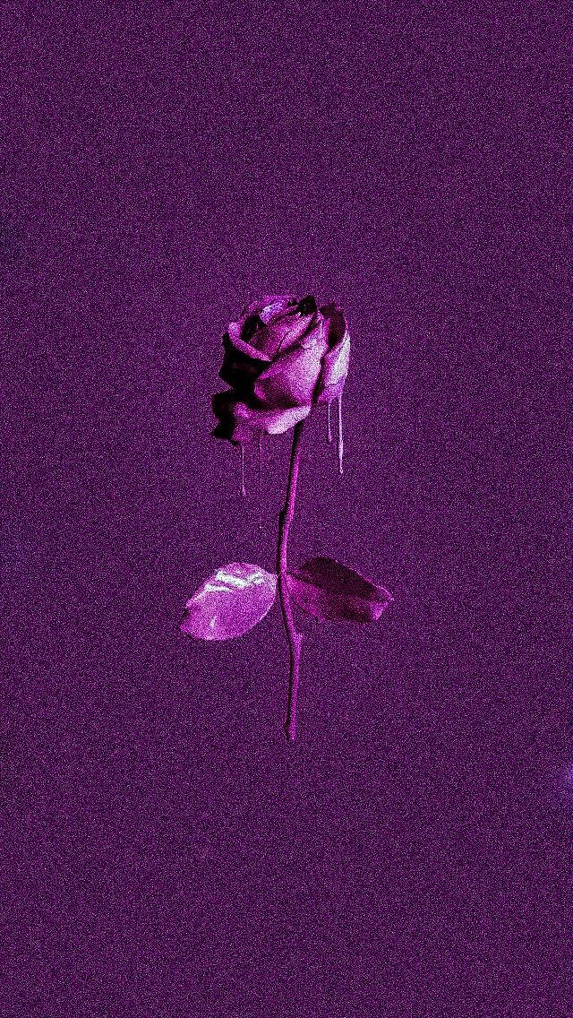 Purple Rose Grainy Drip Art Wallpaper
