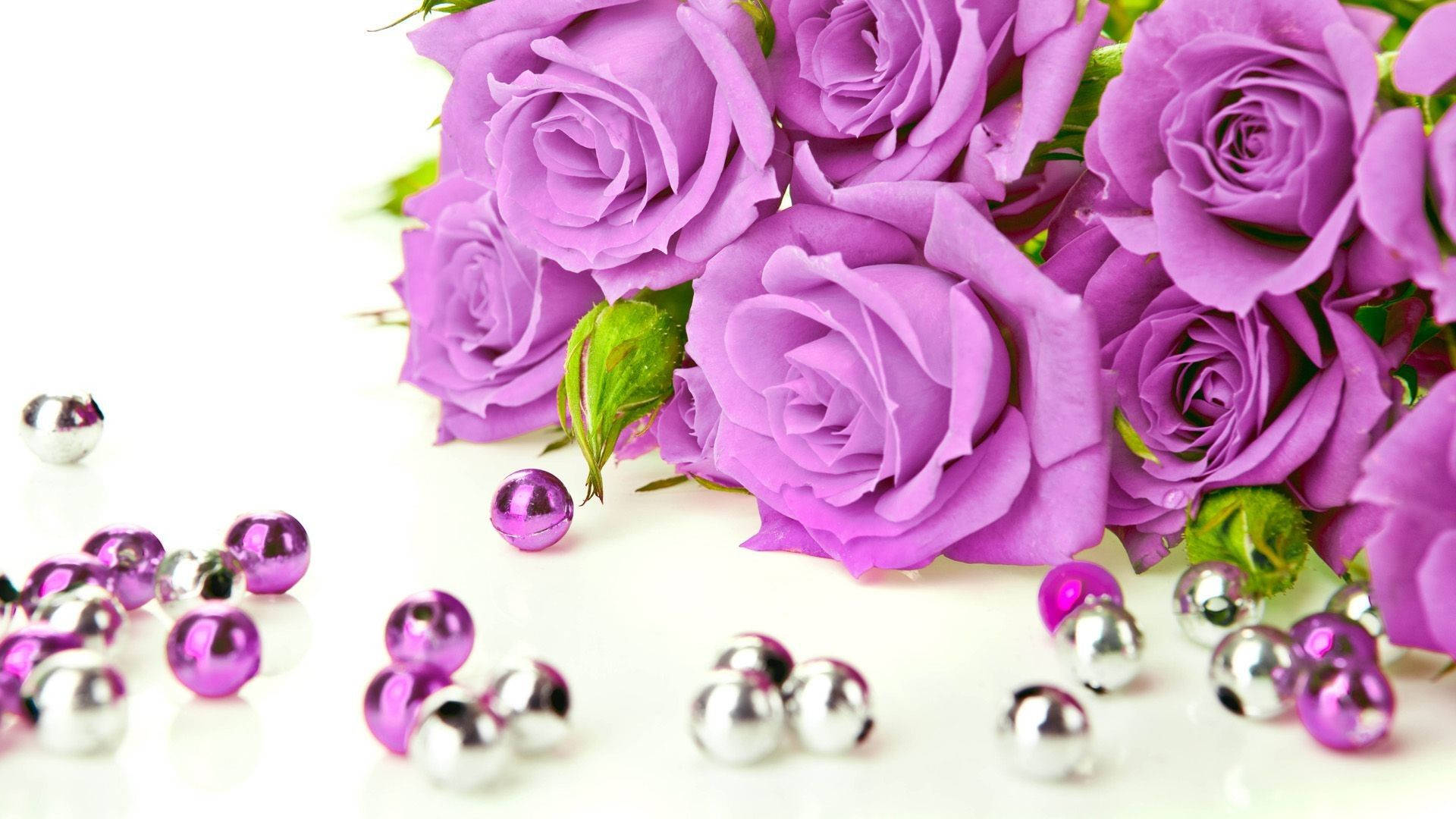 Purple Roses And Beads Wallpaper