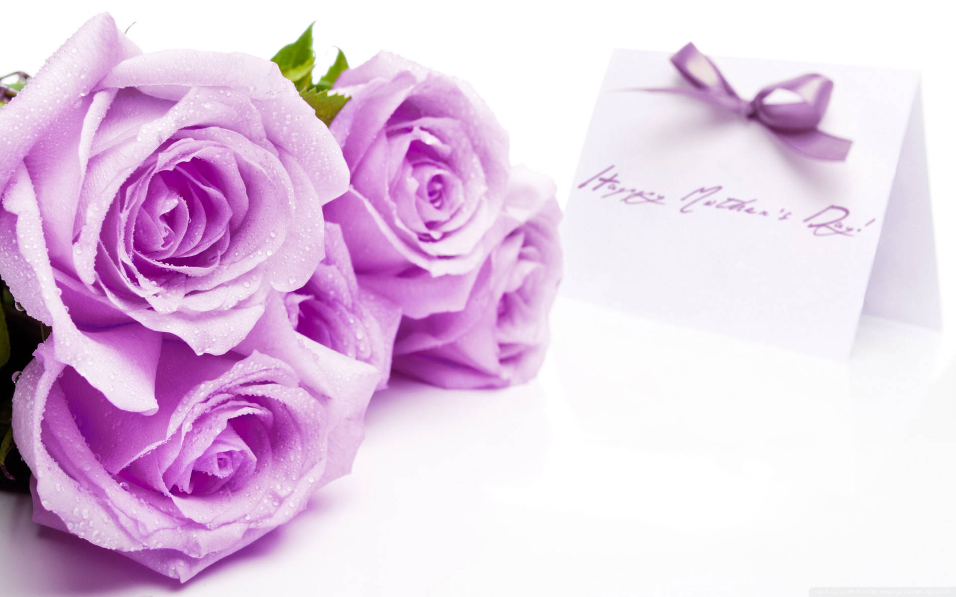 Purple Roses Happy Mothers Day Wallpaper