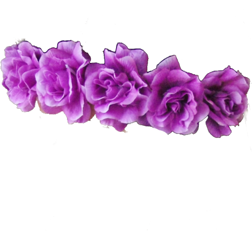 Purple Roses Row PNG