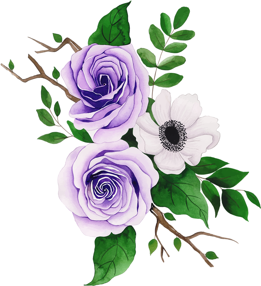 Purple Rosesand White Anemone Vector PNG