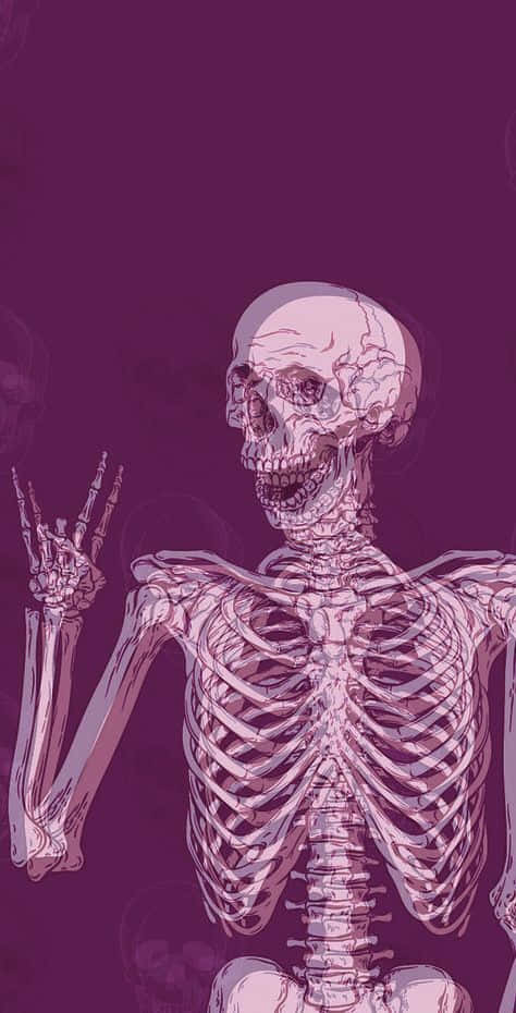 Purple Skeleton Aesthetic Wallpaper Wallpaper