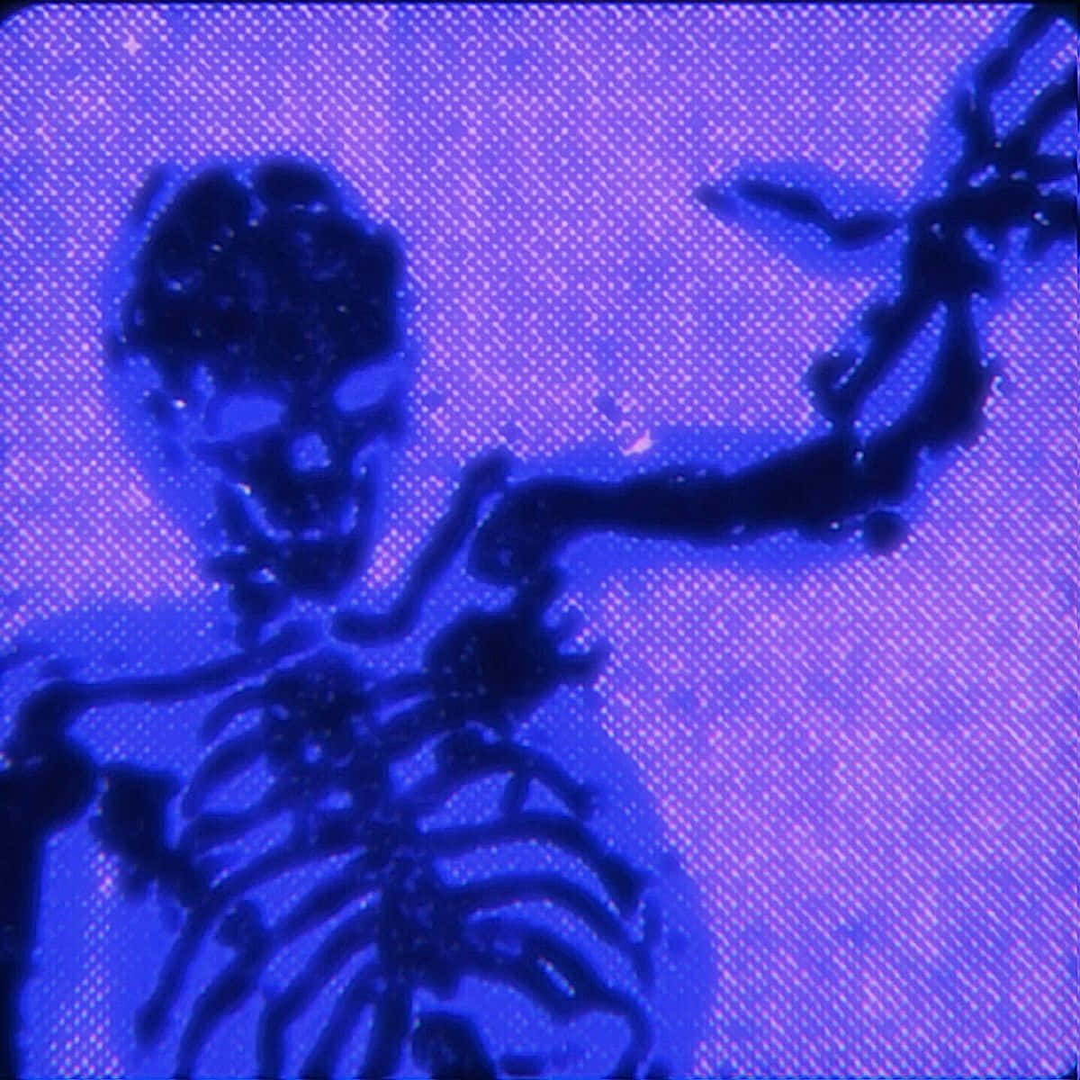 Purple Skeleton Artistic Render Wallpaper