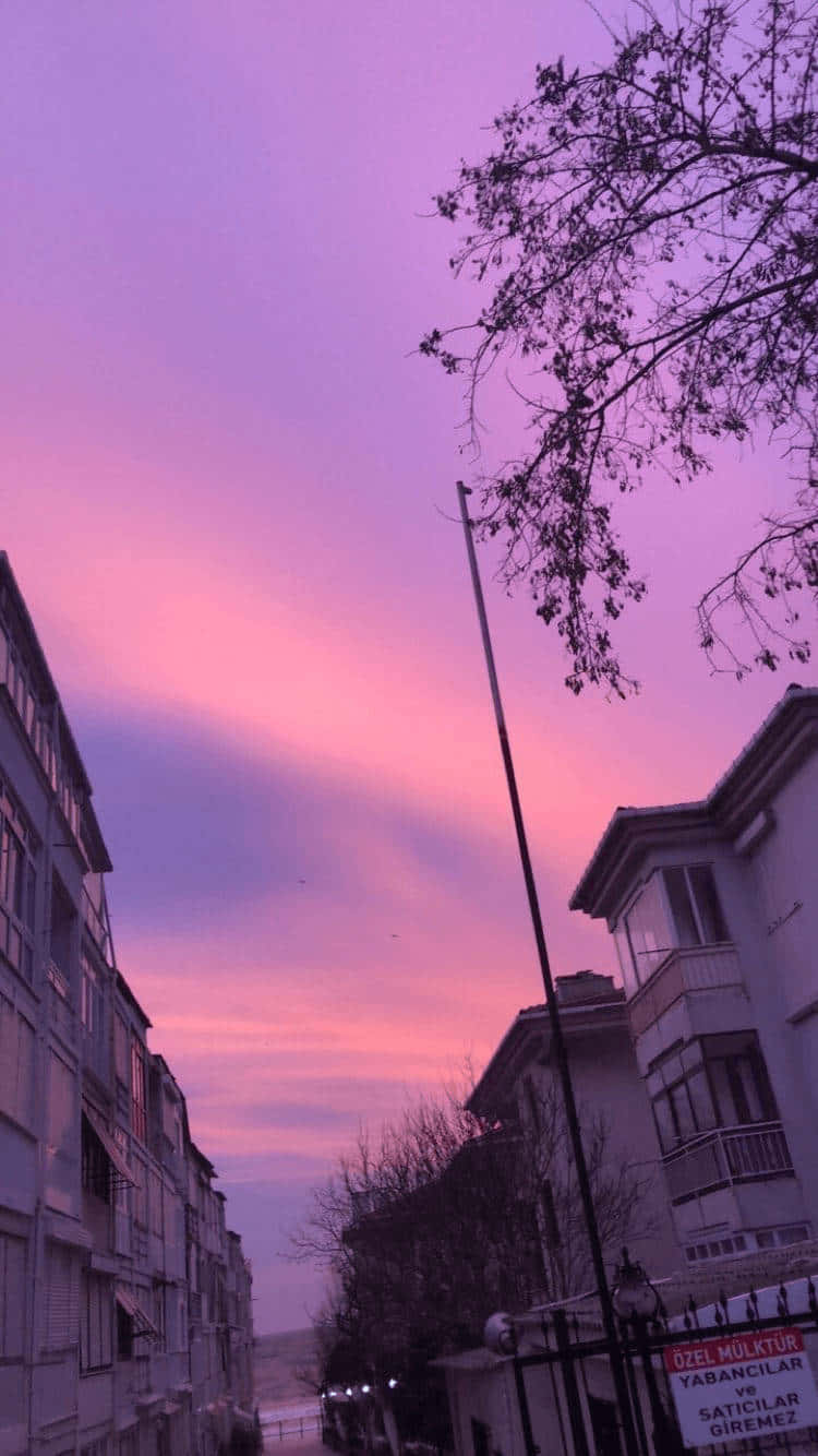 Purple Skies Urban Sunset Wallpaper