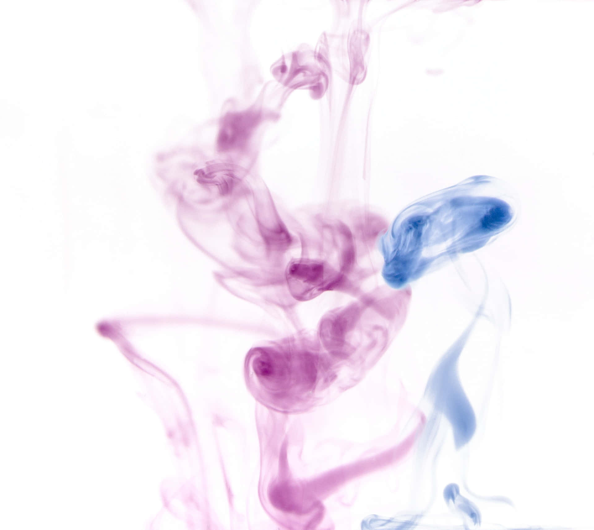 Vibrant Purple Smoke - A Colorful And Mysterious Photographic Subject