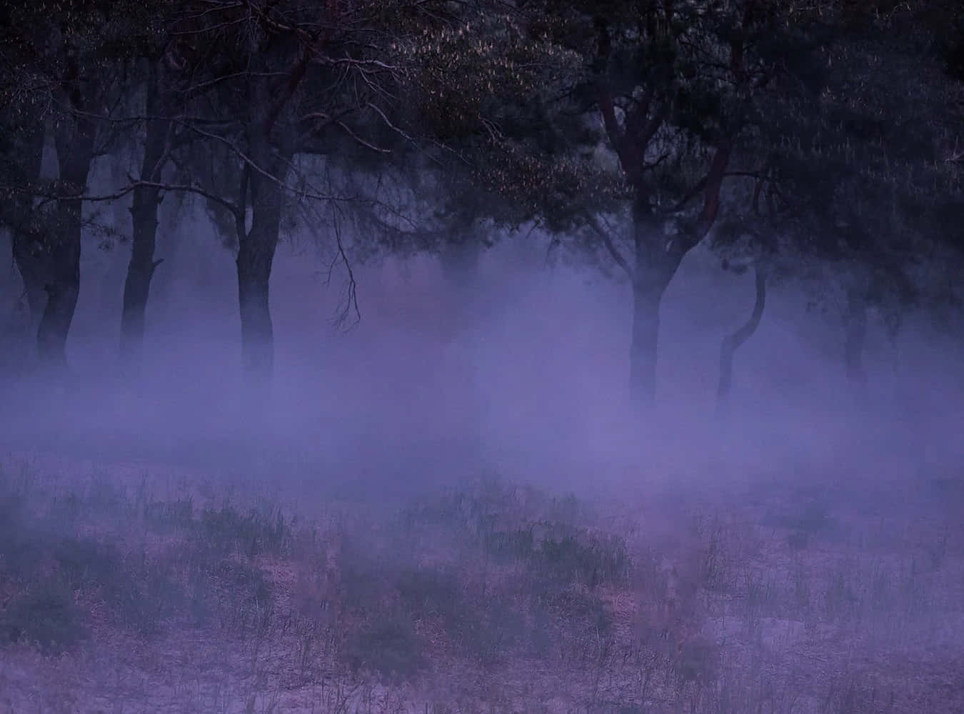 Captivating Purple Smoke: An Ethereal Display