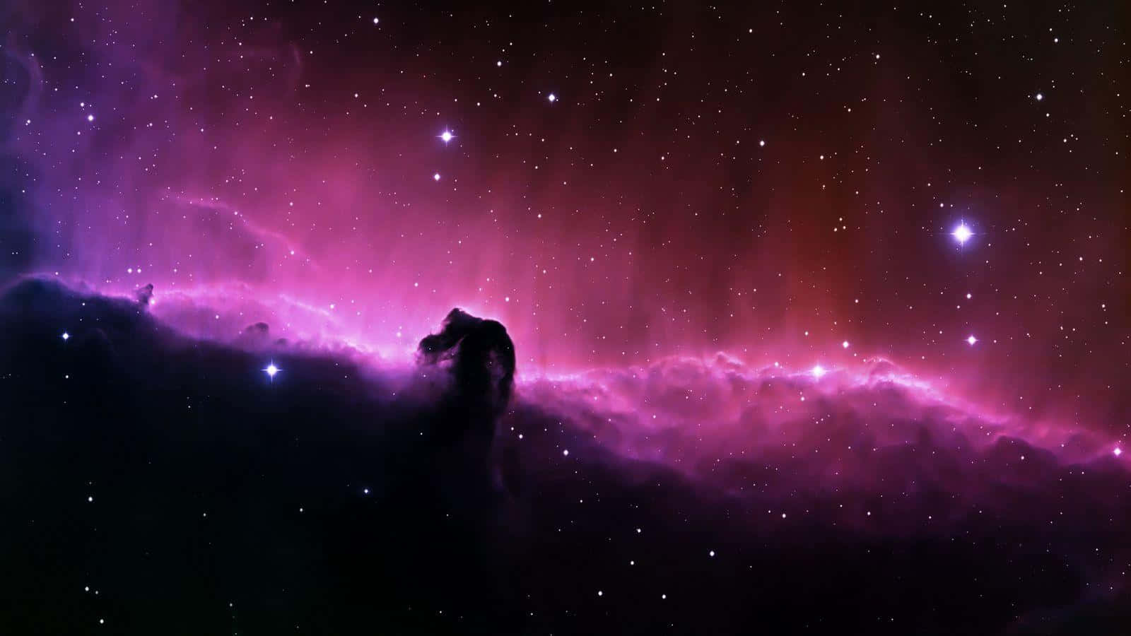 Explore the beauty of Purple Space