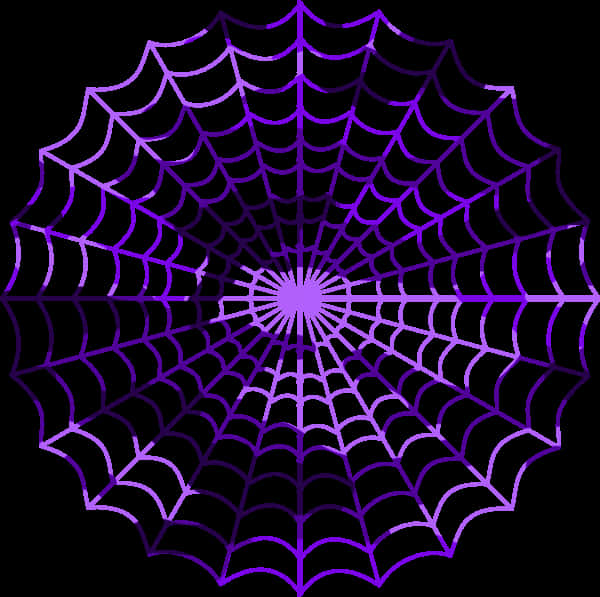 Purple Spider Web Graphic PNG