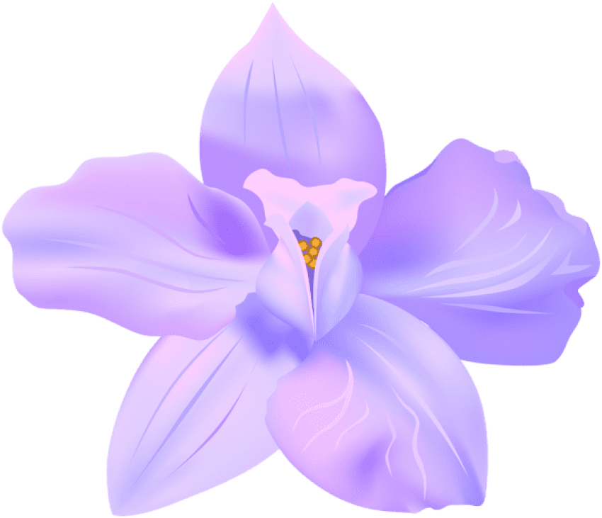 Download Purple Spring Flower Illustration 