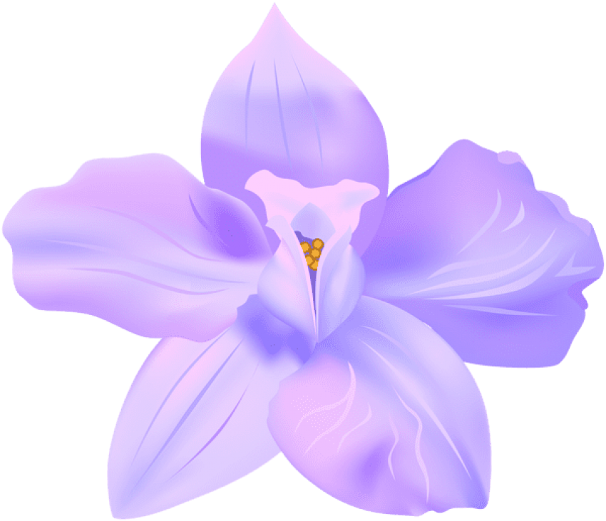 Purple Spring Flower Illustration PNG