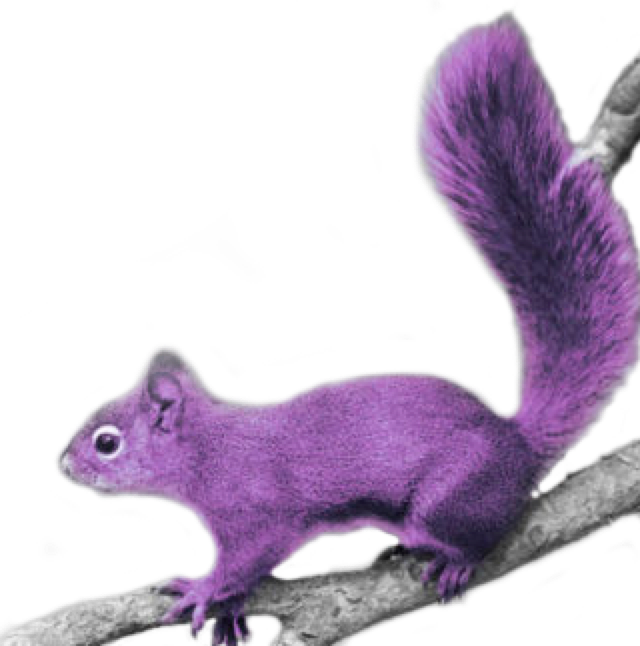 Purple Squirrelon Branch PNG