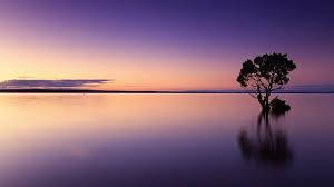 Purple Sunrise Over Lake Photo Background Wallpaper