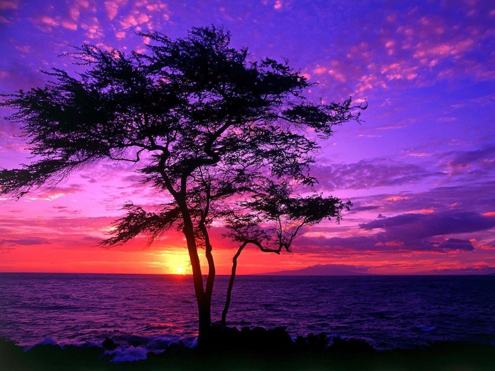 Breathtaking Purple Sunset over Serene Waters Wallpaper