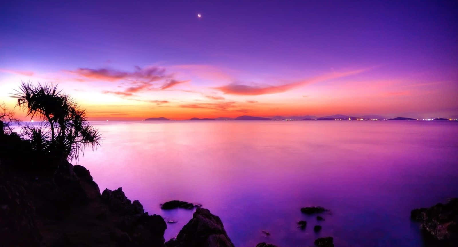 Tranquil Purple Sunset Over the Horizon Wallpaper