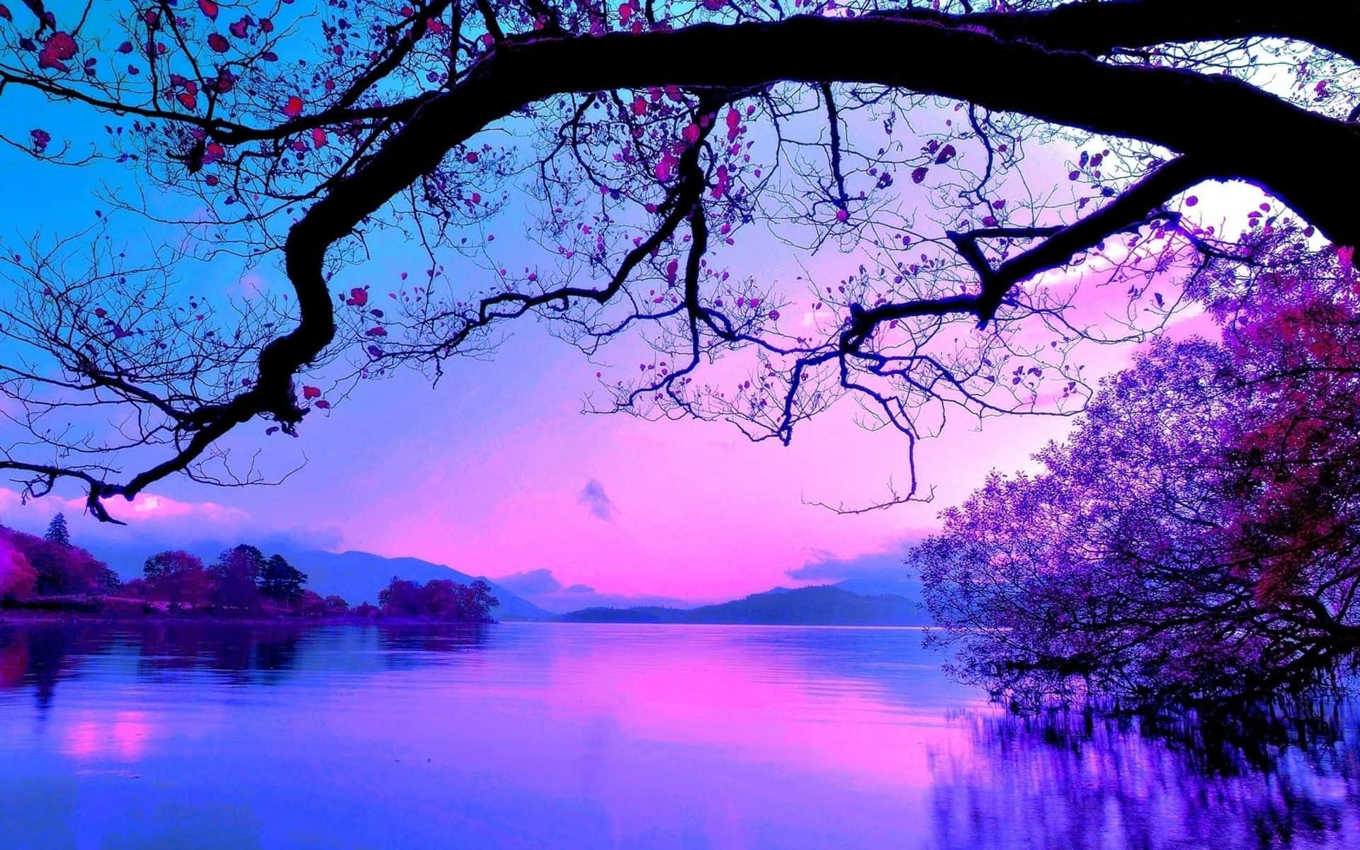 Enchanting Purple Sunset Wallpaper