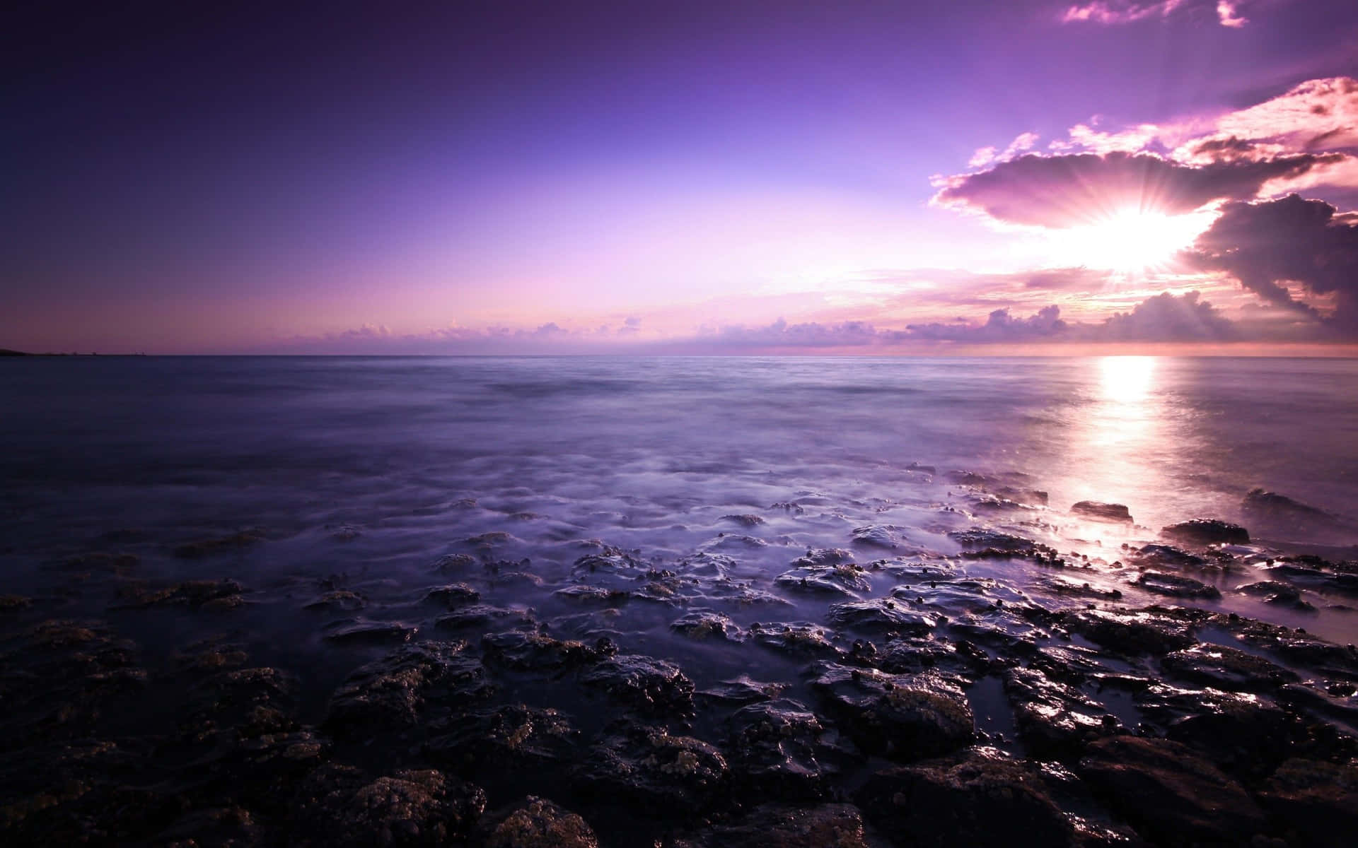 Majestic Purple Sunset over Tranquil Waters Wallpaper