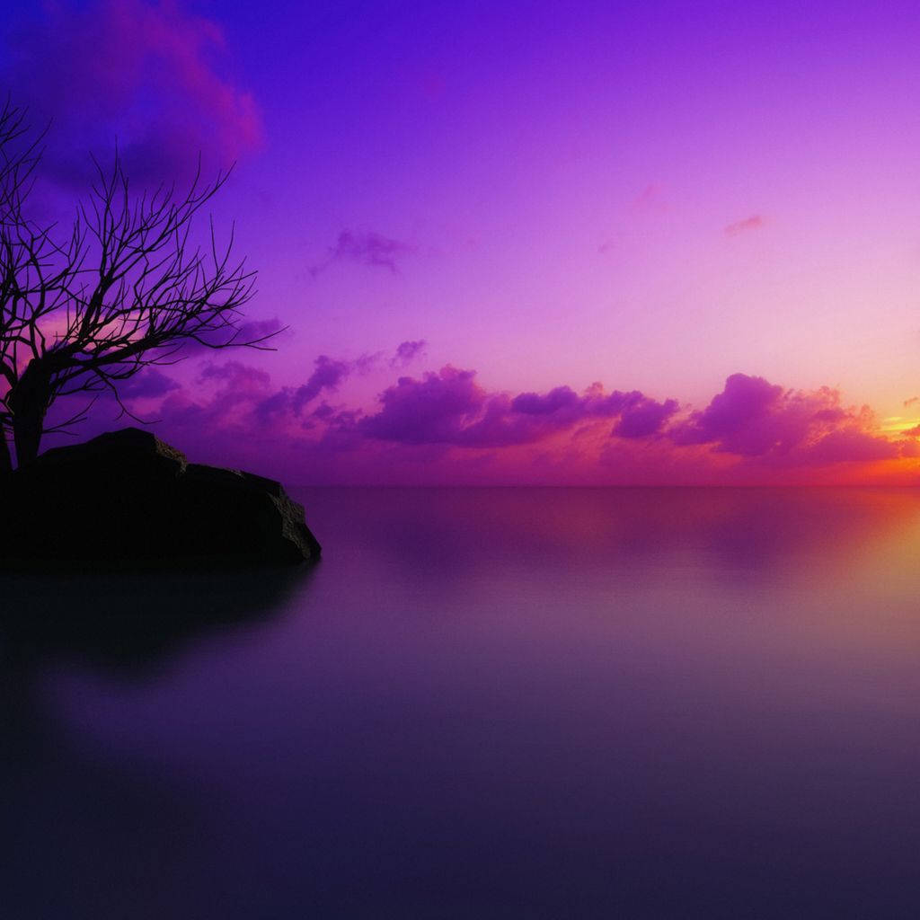 Purple Sunset Landscape Ipad Mini Wallpaper