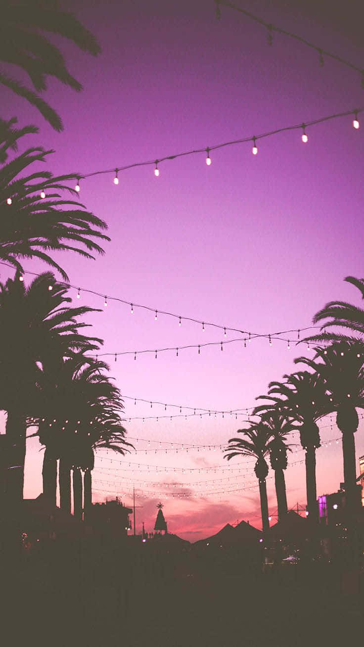 Purple Sunset Palm Trees String Lights Wallpaper