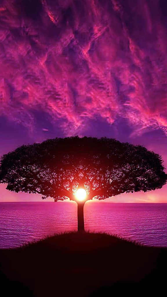Purple Sunset Silhouette Tree Wallpaper