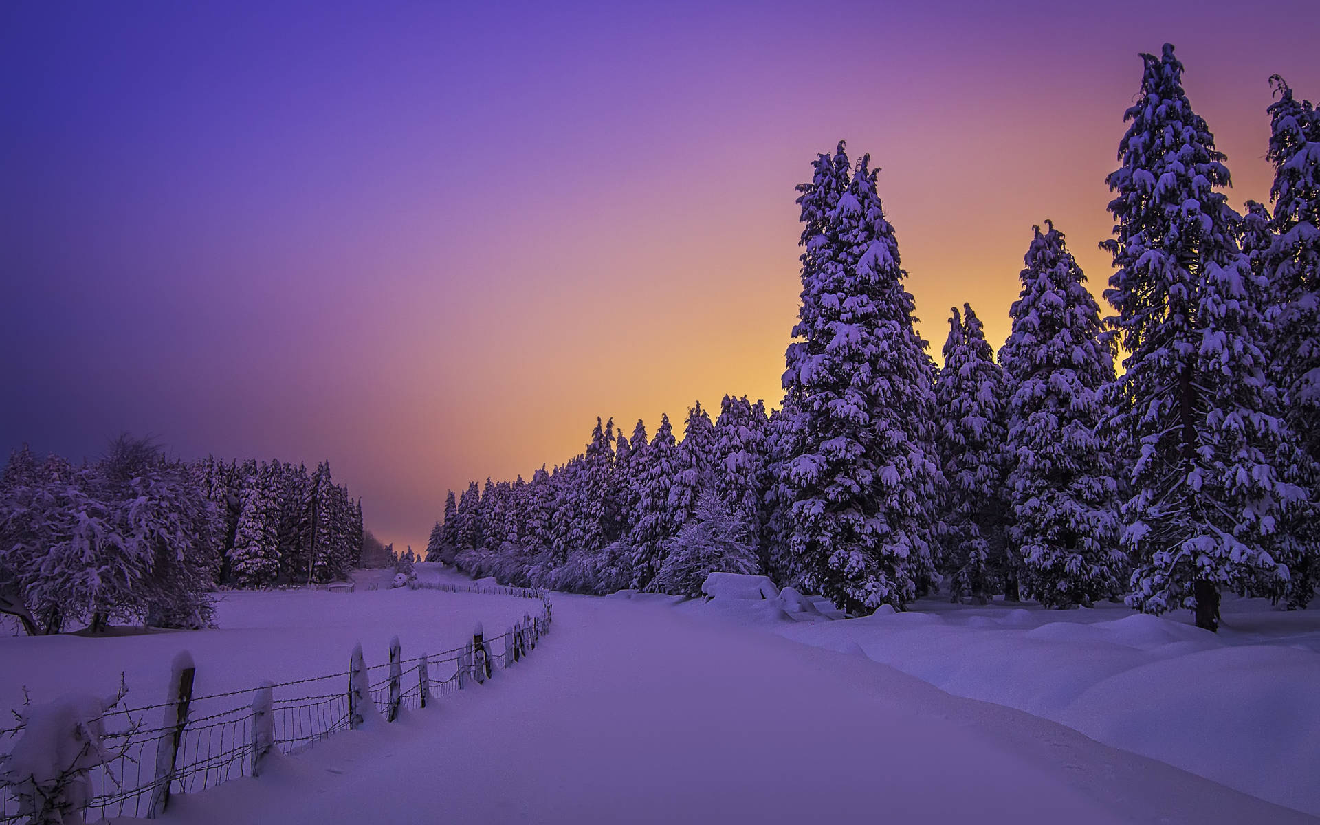 Purple Sunset Winter Aesthetic Wallpaper