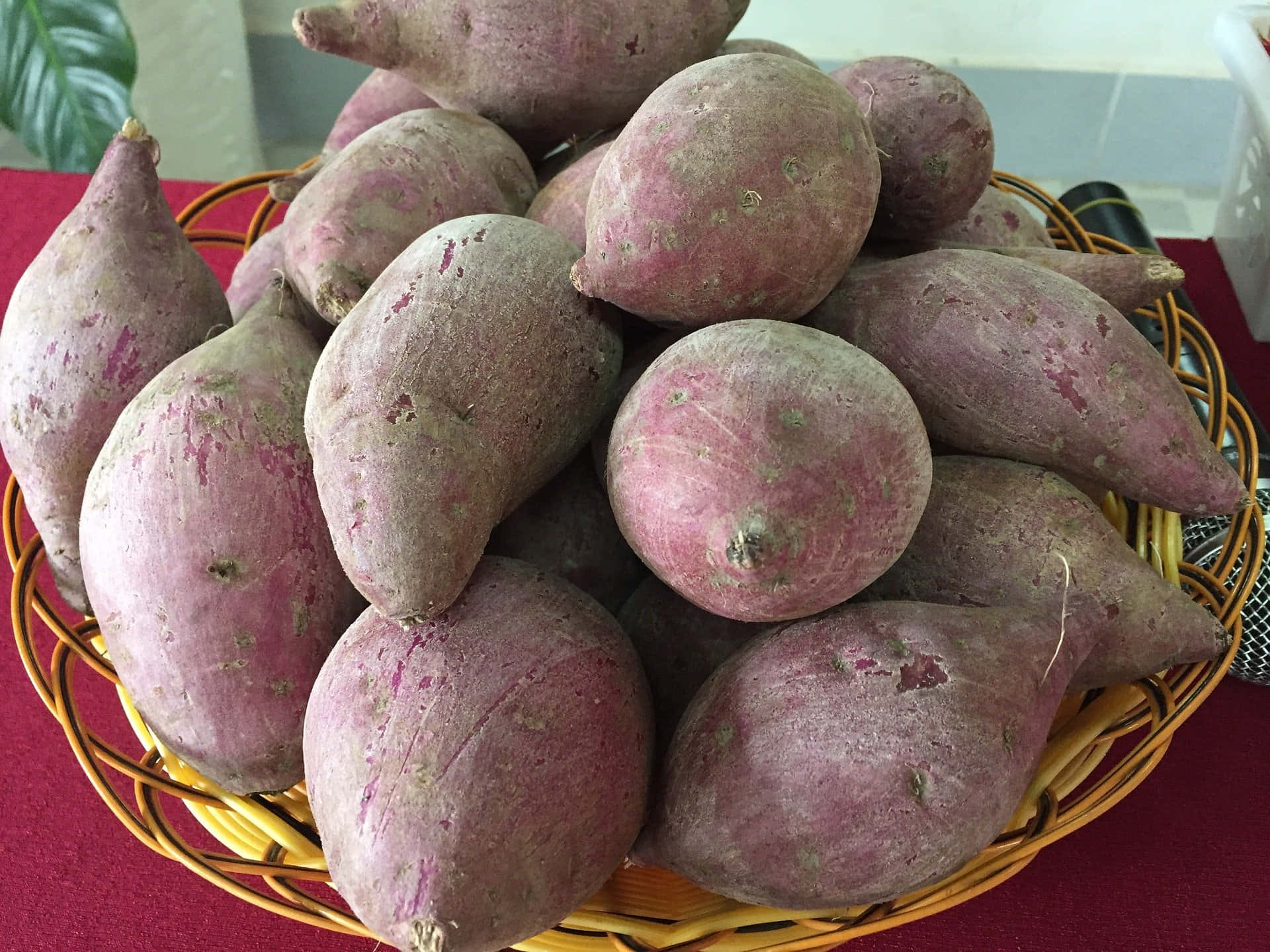 Nutritious and Delicious Purple Sweet Potato Wallpaper