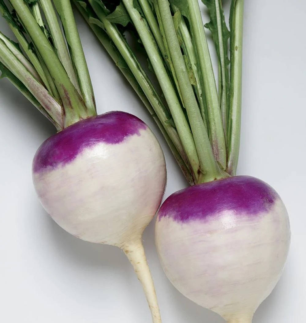 Purple Top Turnips In White Wallpaper