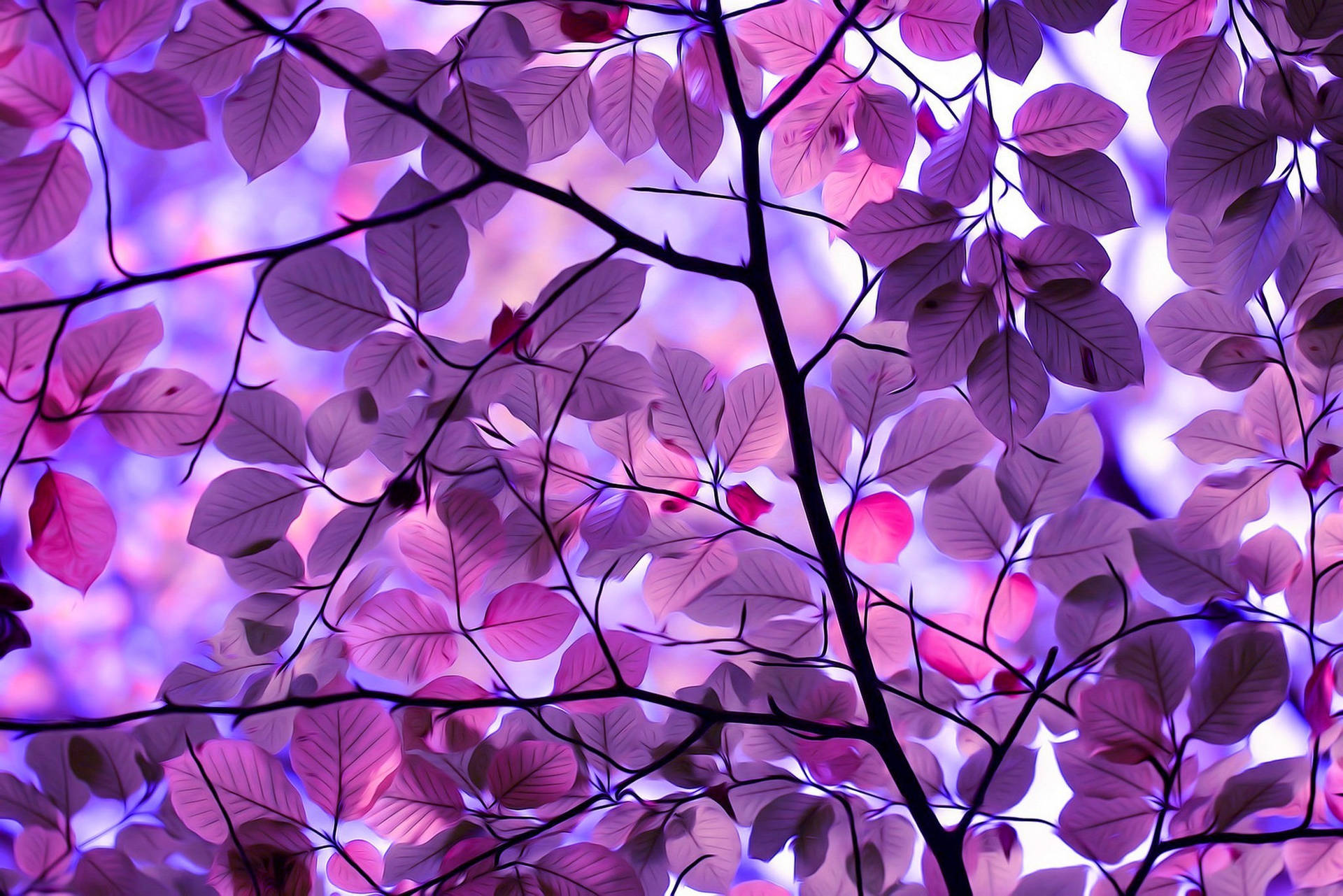 Purple Tree Leaves Wallpaper