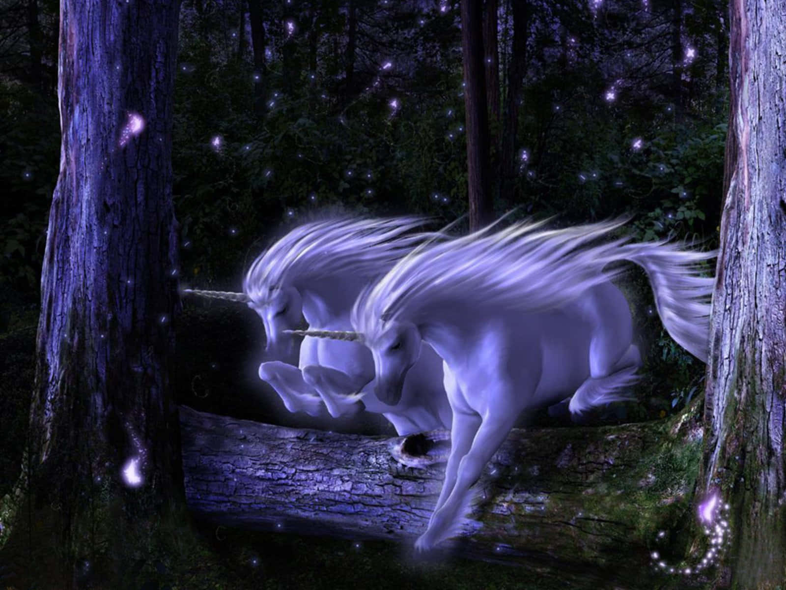 To purpur unicorner kører skoven Wallpaper