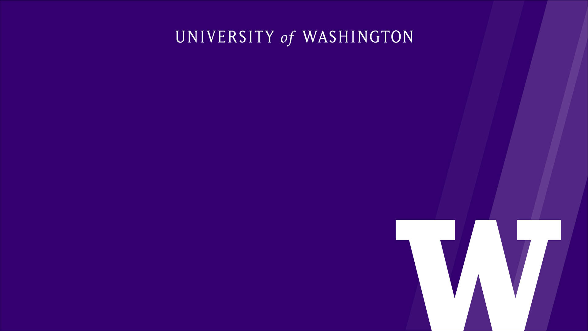 Purple University Of Washington Backdrop Subtle Lines Wallpaper