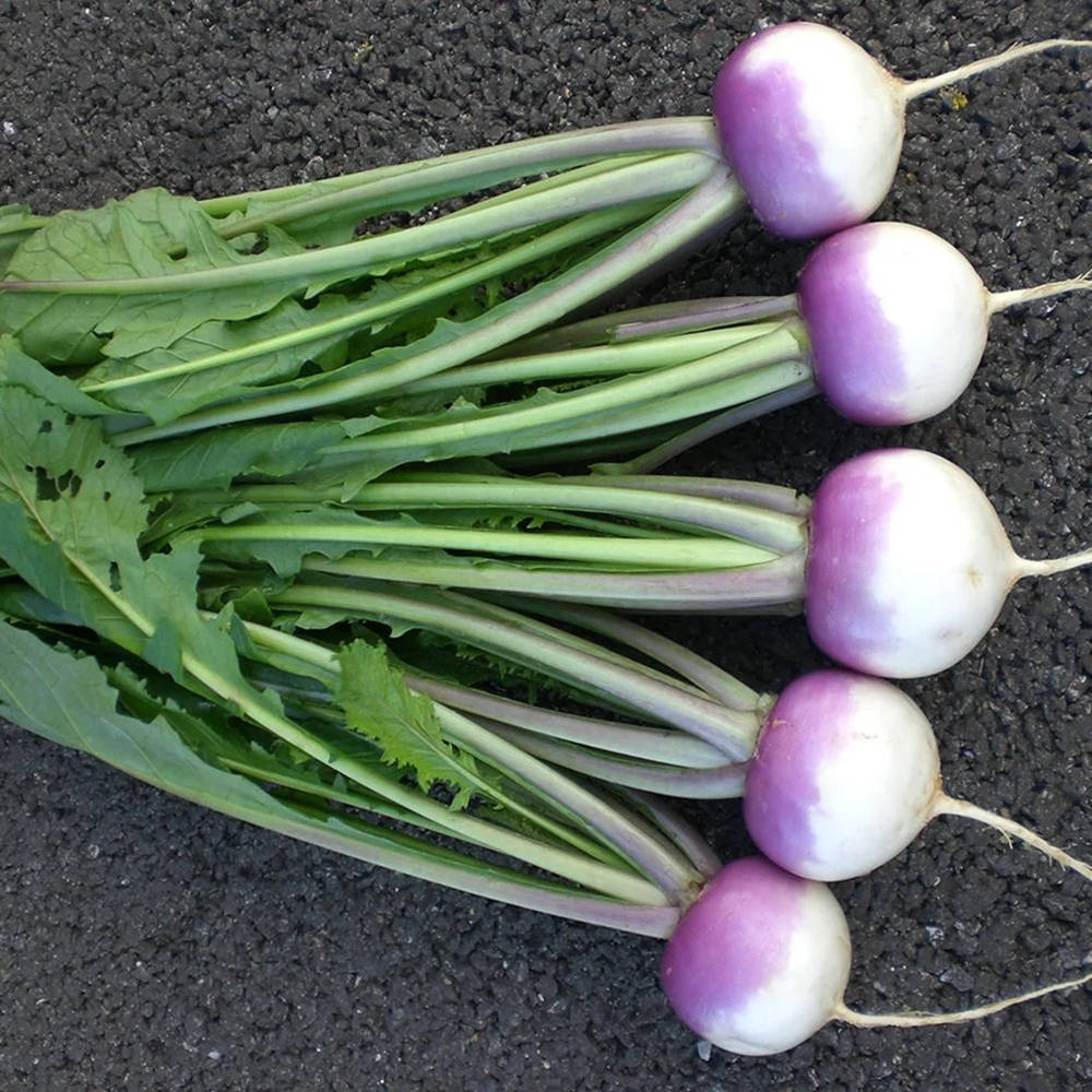 Purple Vegetable Turnips With Leaves Wallpaper
