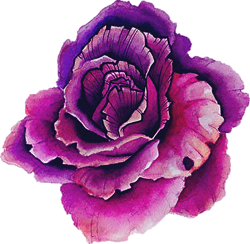 Purple Watercolor Rose Artwork PNG