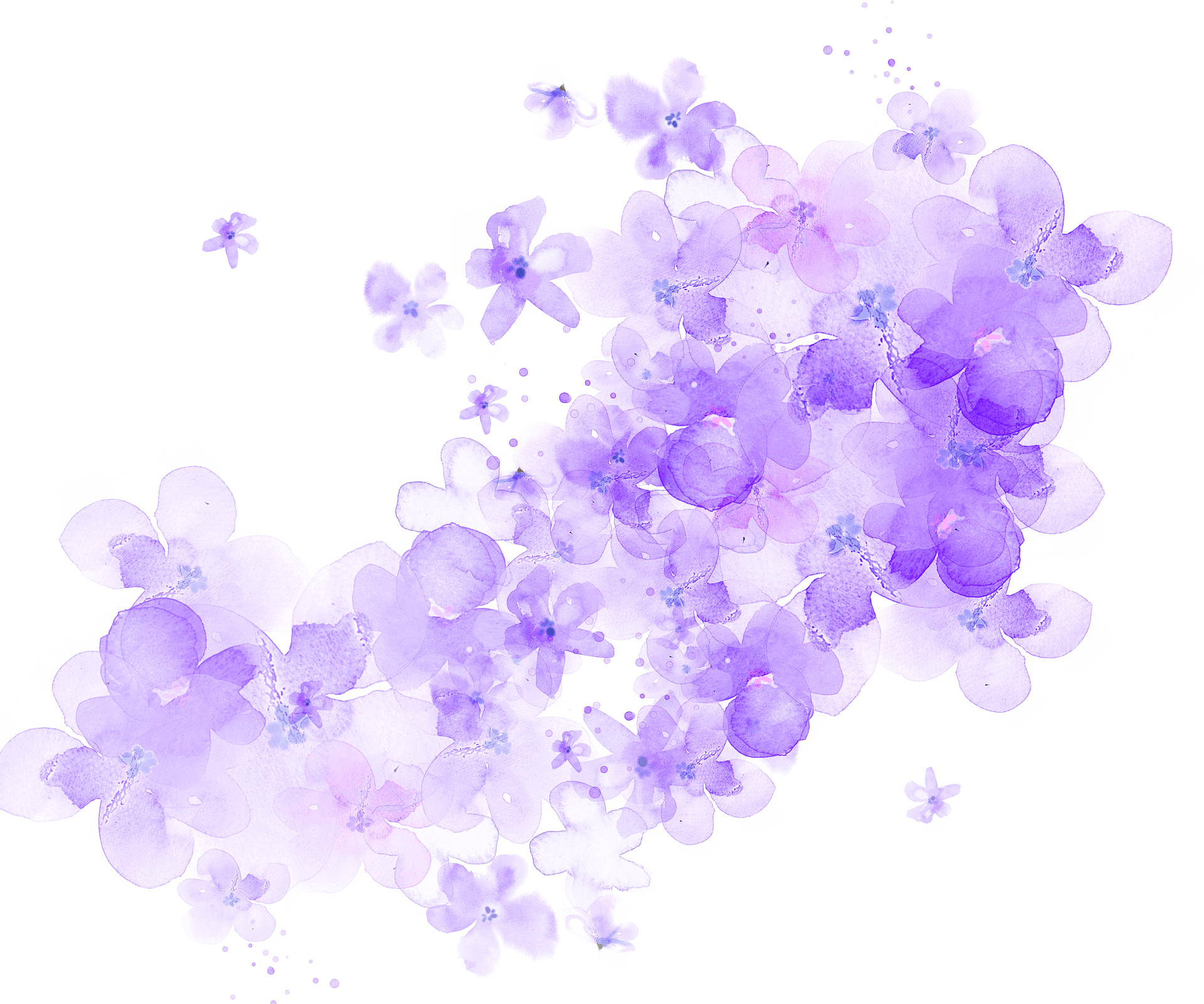 Purple_ Floral_ Watercolor_ Cluster.png PNG