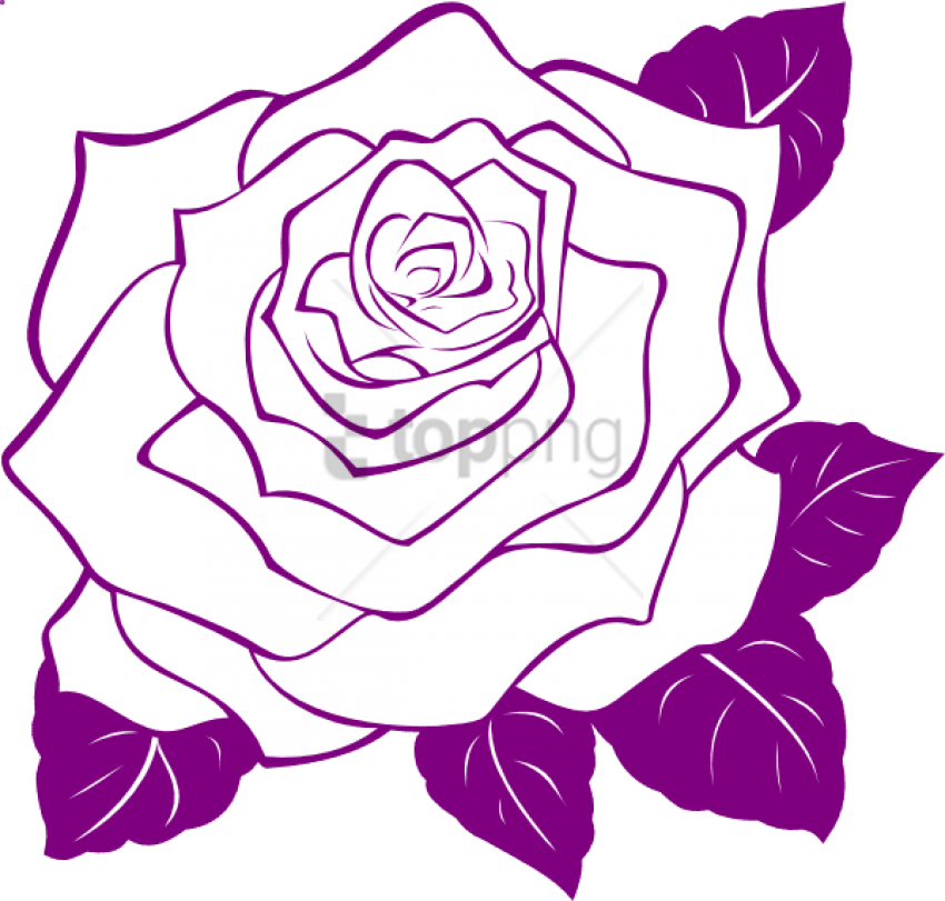 Purple_ Rose_ Outline_ Artwork PNG