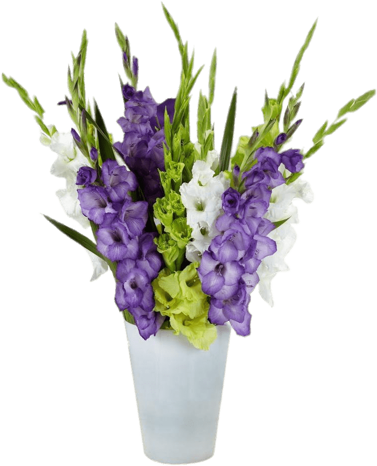 Purpleand White Gladiolus Bouquet PNG