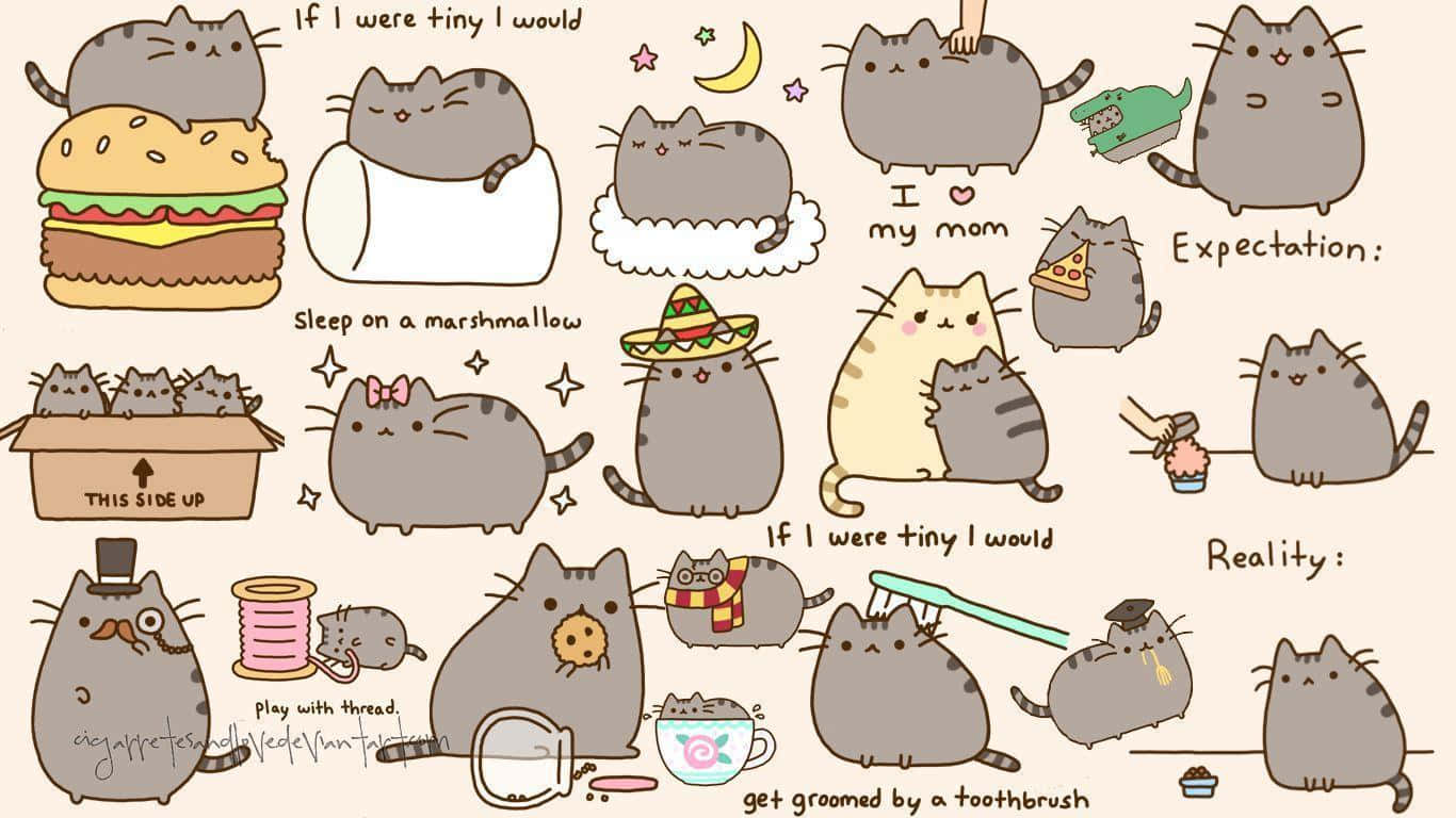 Enjoy some quality time with Pusheen on your computer! Wallpaper