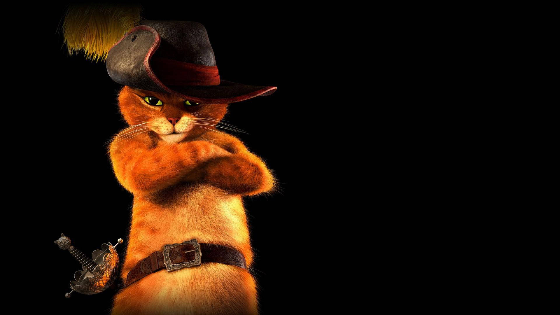 Puss In Boots Savage Wallpaper