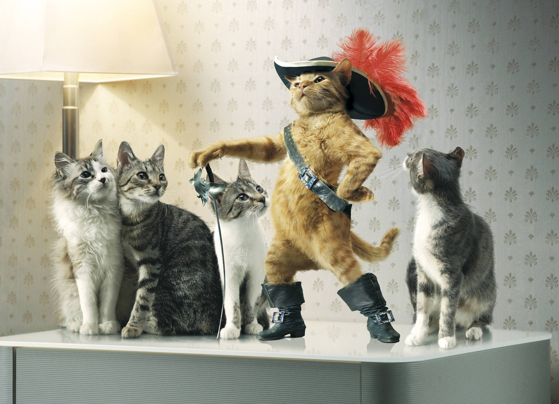 Puss In Boots With Cats Wallpaper