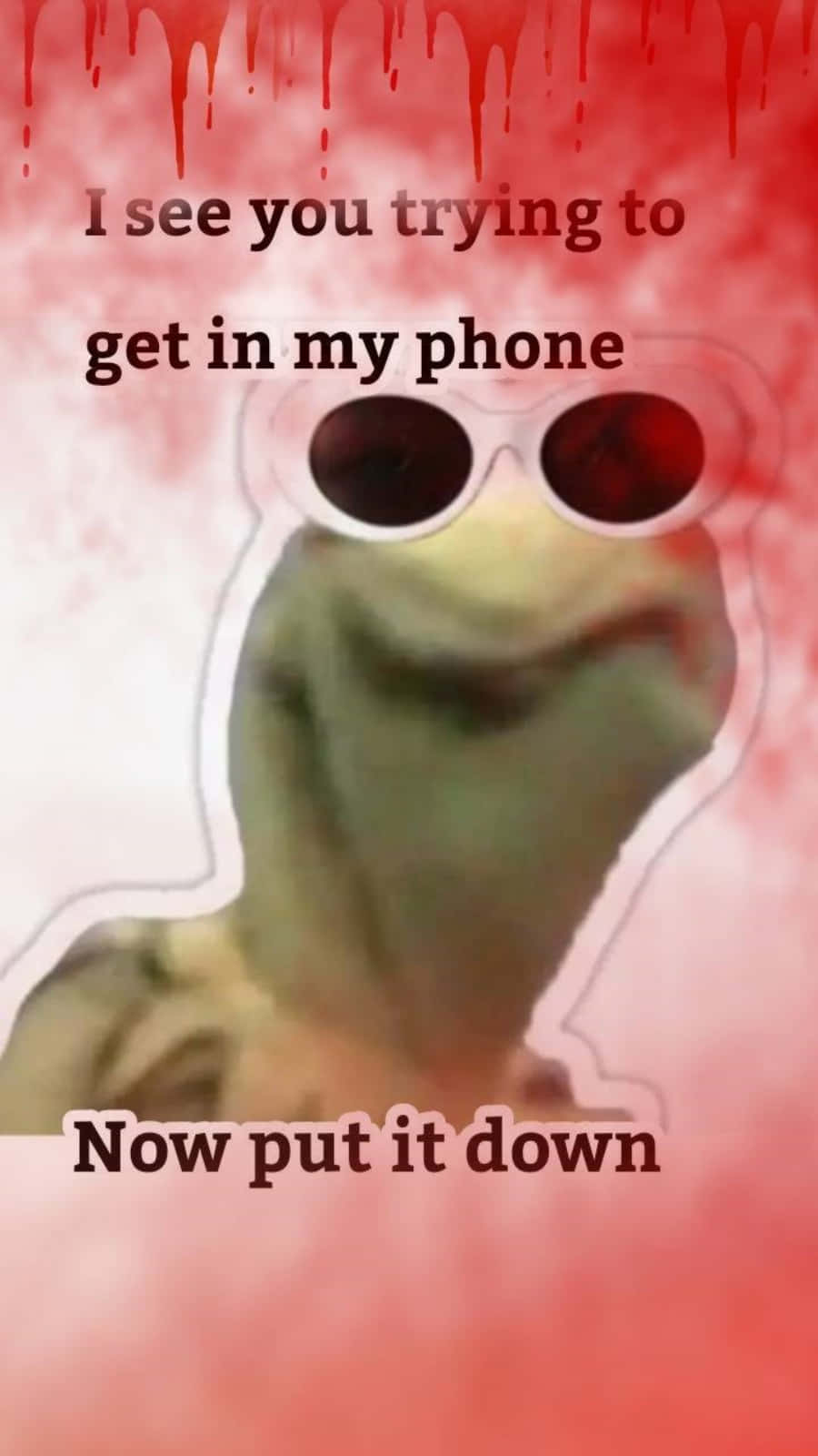 Kermit Frog satte min telefon vild quotes wallpaper Wallpaper
