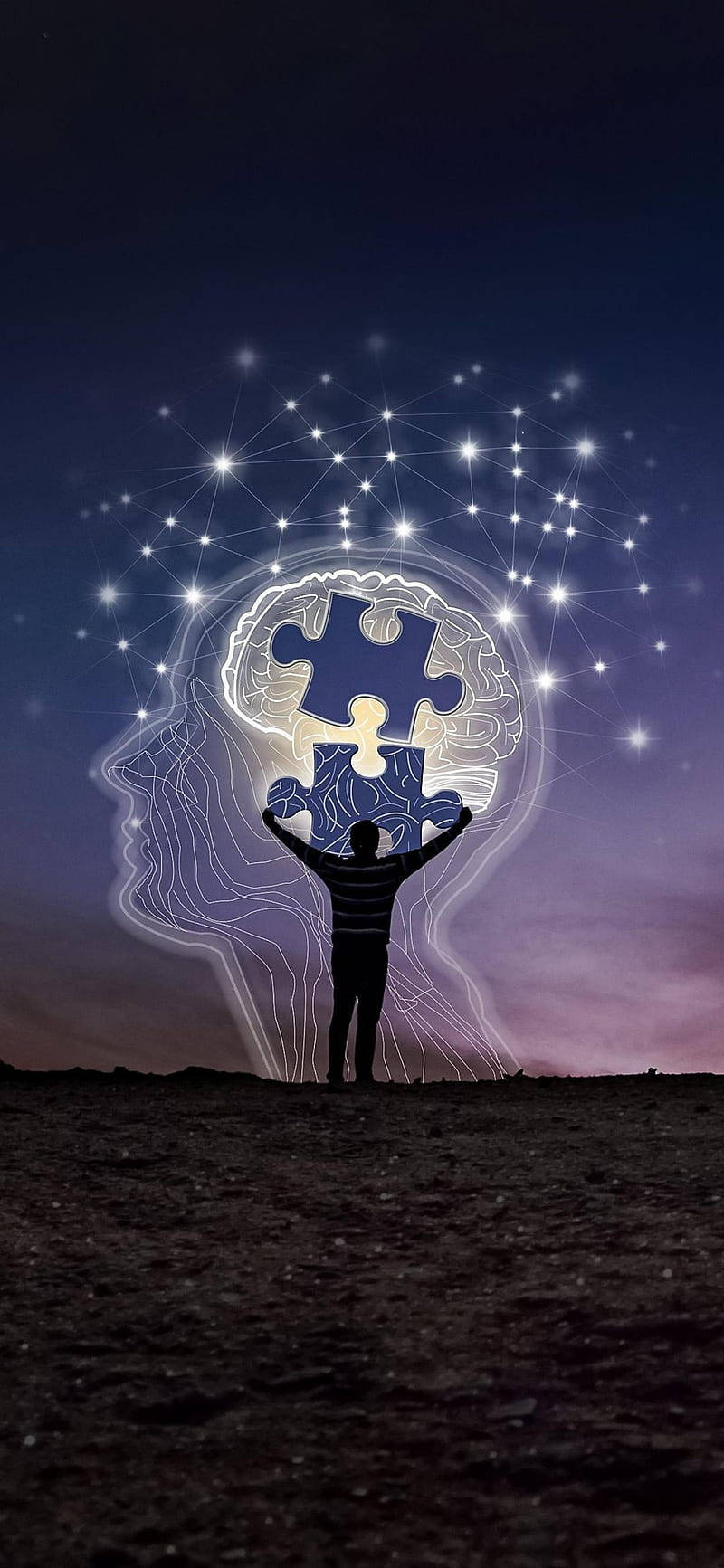 Puzzle Pieces Inside Wise Mind Picture