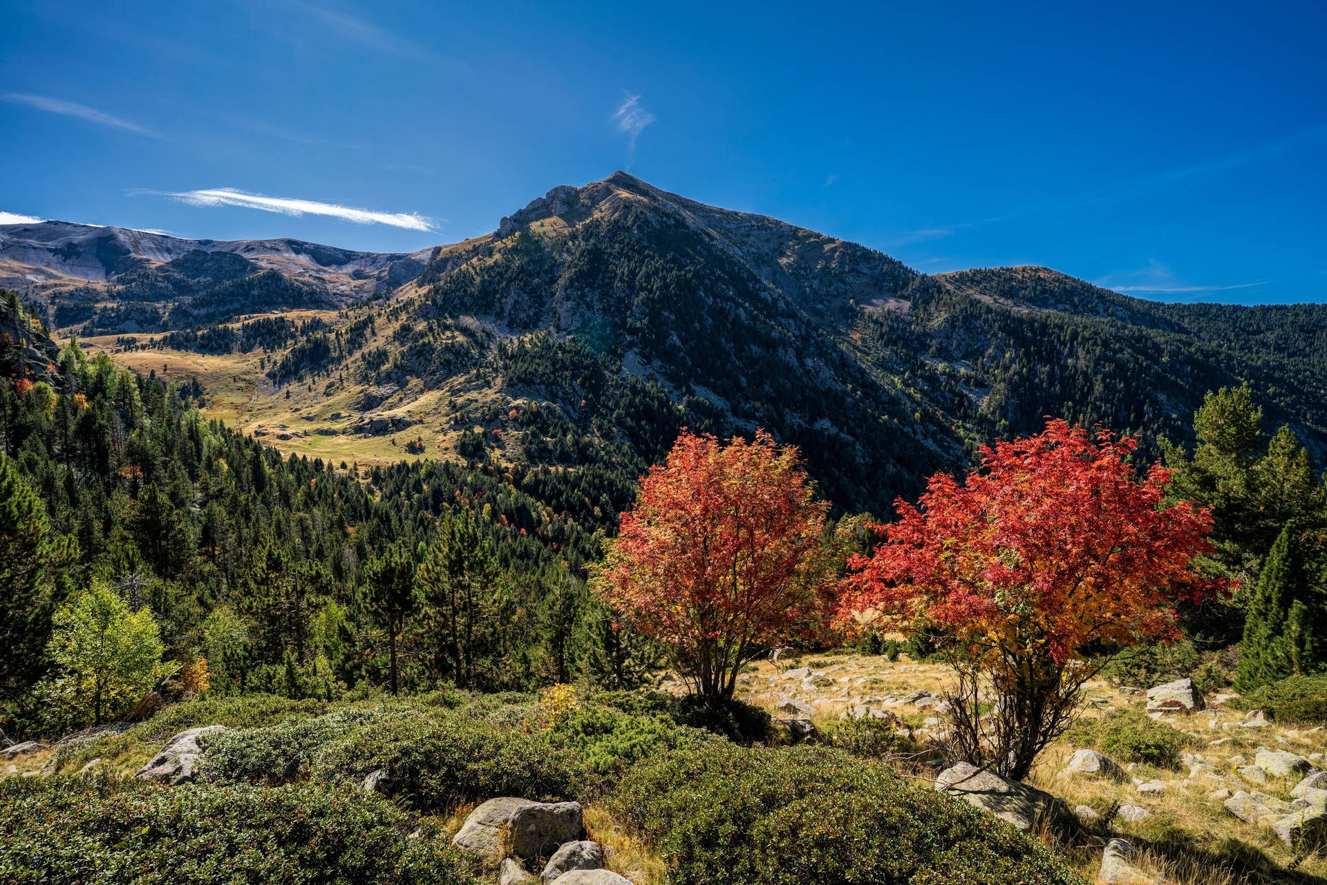 Pirineosotoño Andorra Fondo de pantalla