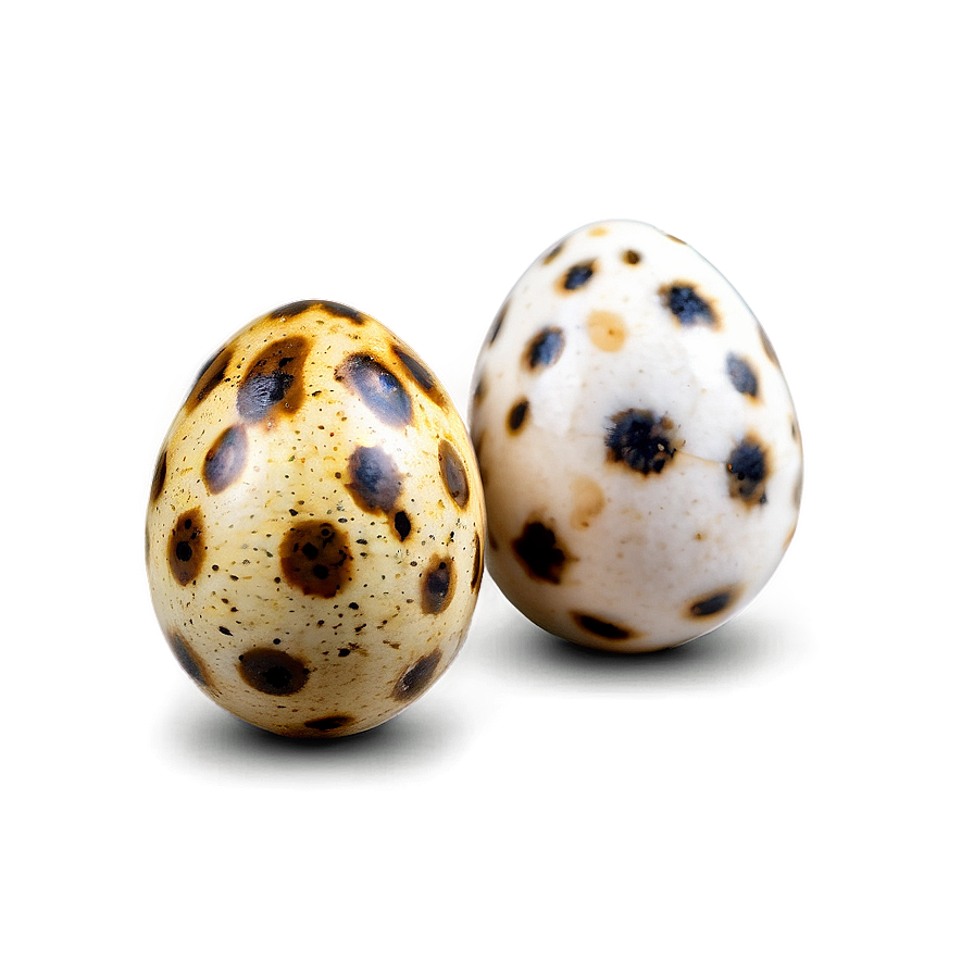 Quail Egg Png Vbb PNG