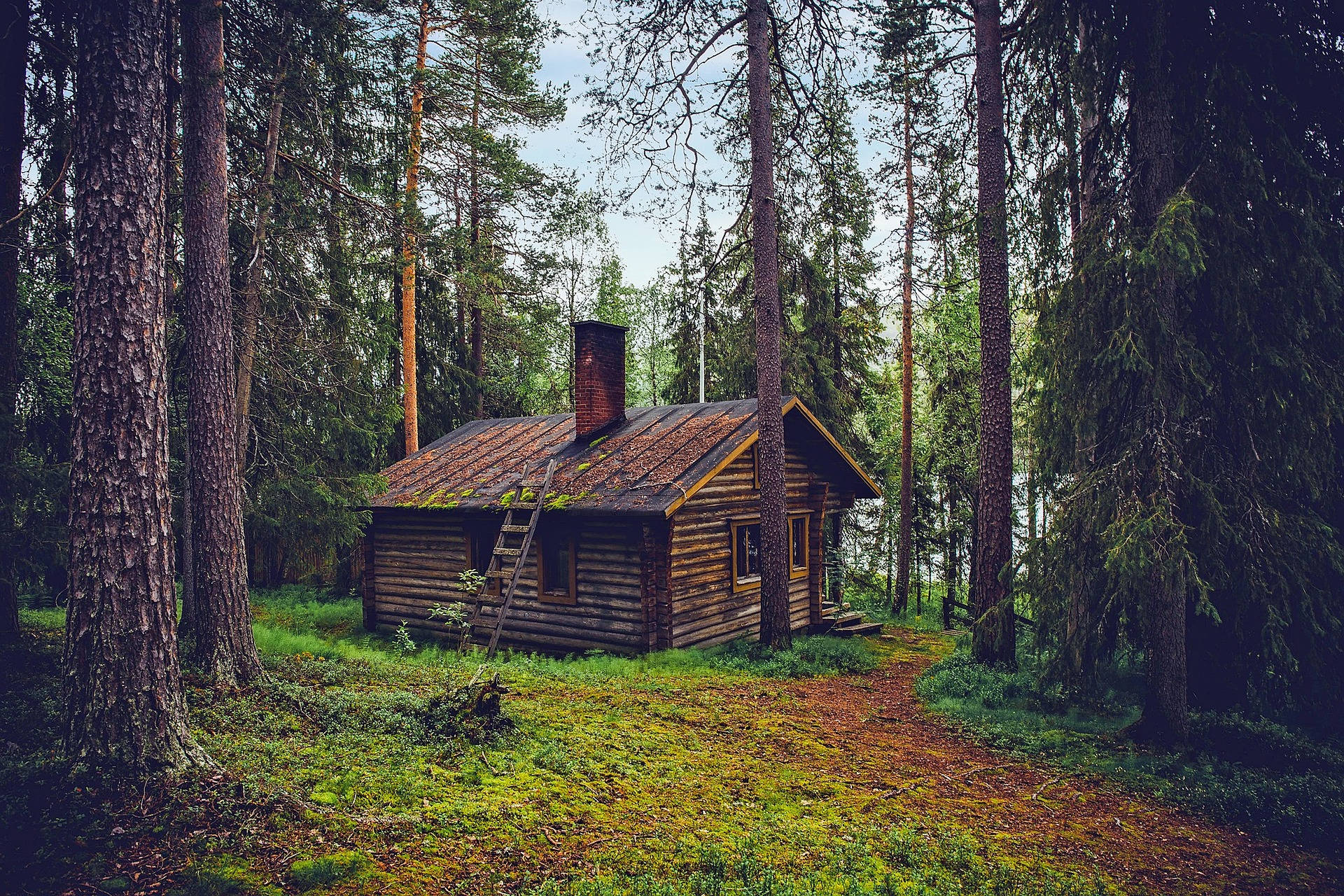 Quaint Cabin In The Woods Background
