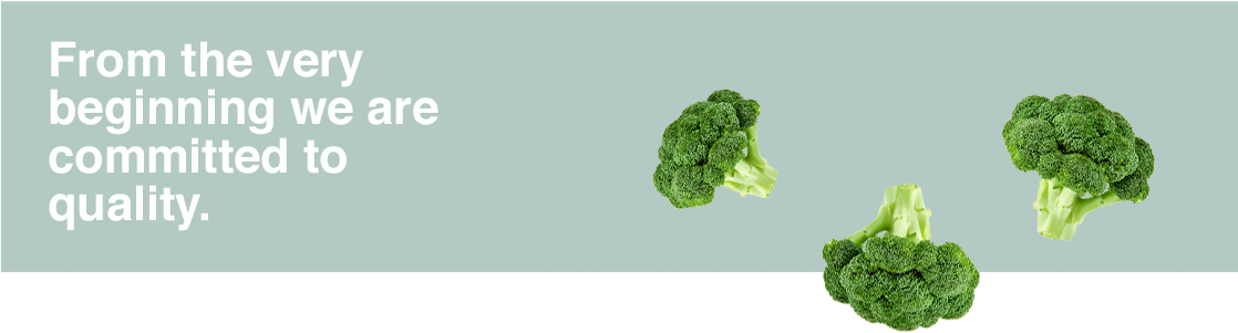 Quality Broccoli Commitment Banner PNG