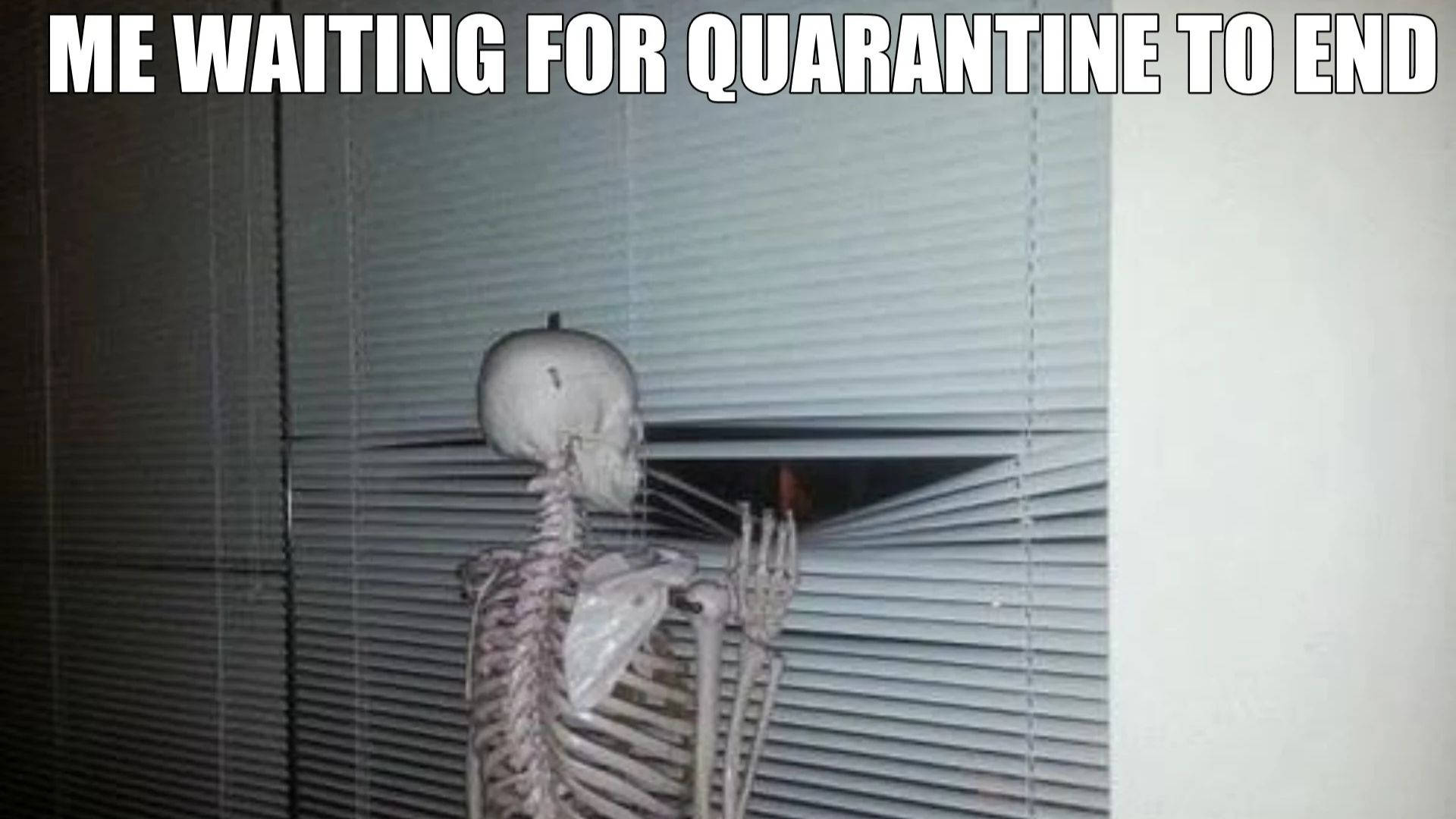 Quarantine Skeleton Meme