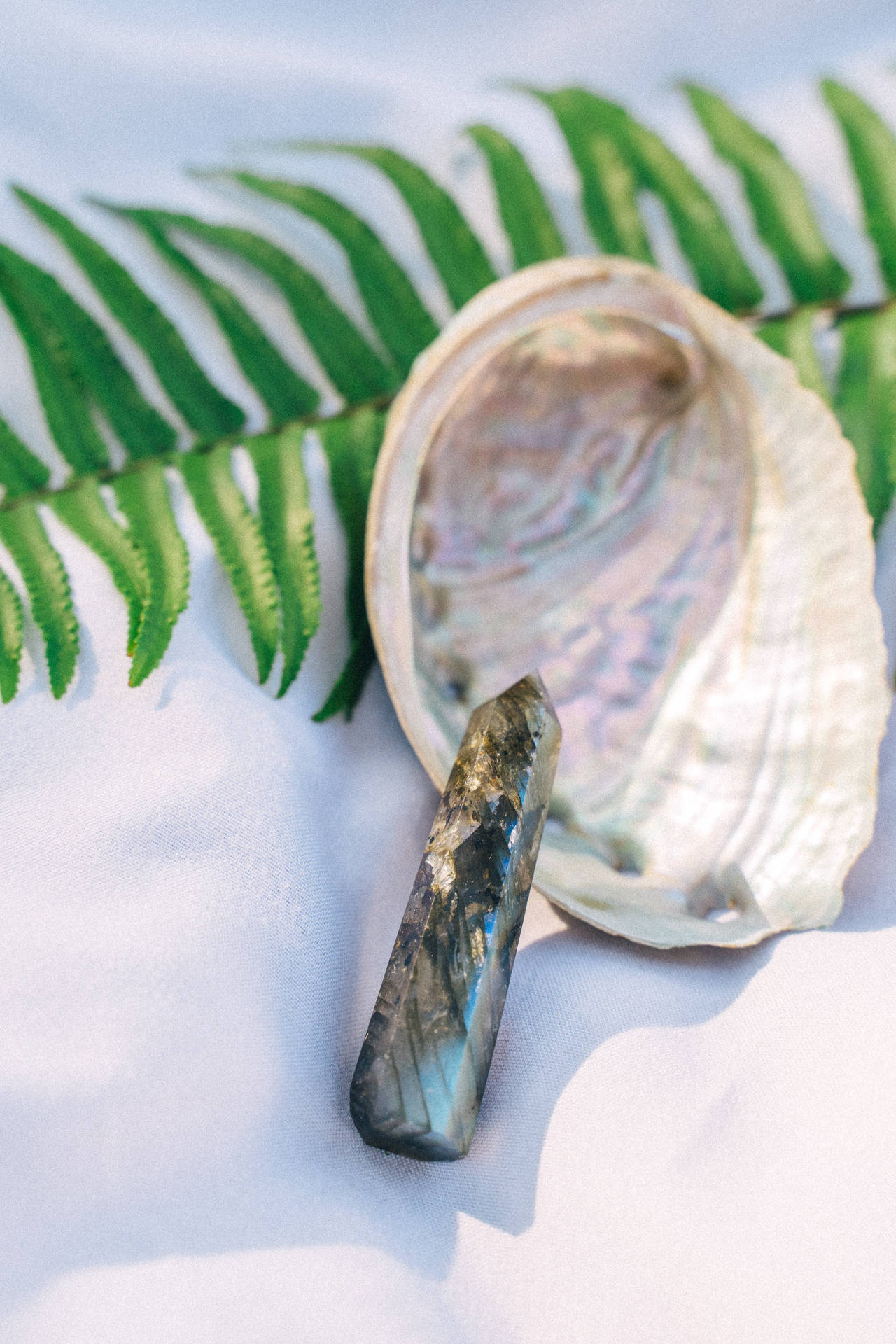 Vibrant Abalone Shell with Quartz Crystal within. Wallpaper
