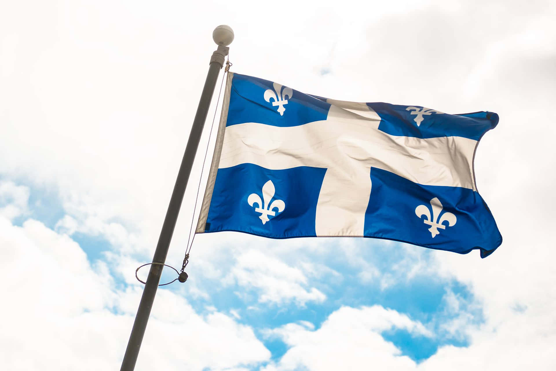 Quebec Fleurdelis Vlag Wapperend Achtergrond