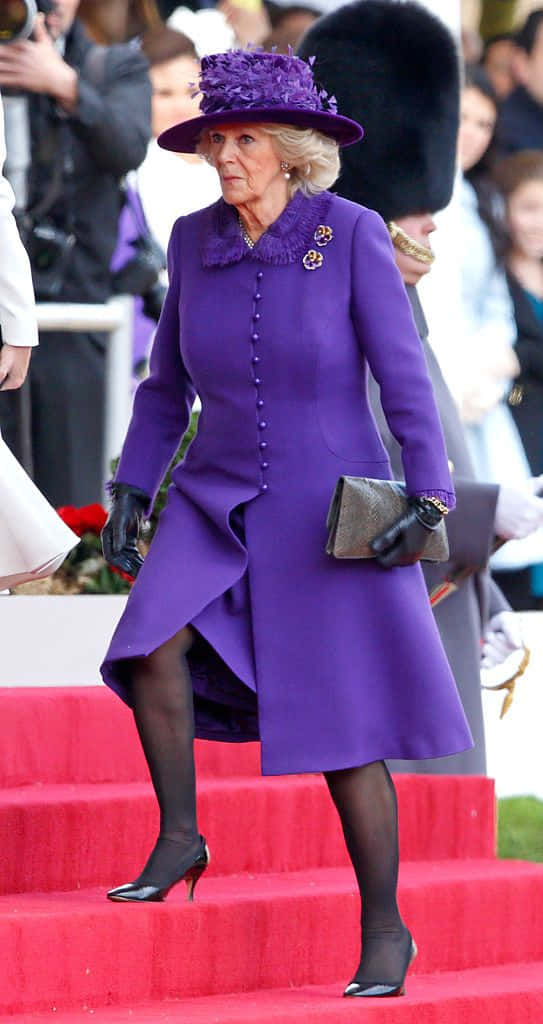 Queen Camilla Walking Up Steps Wallpaper