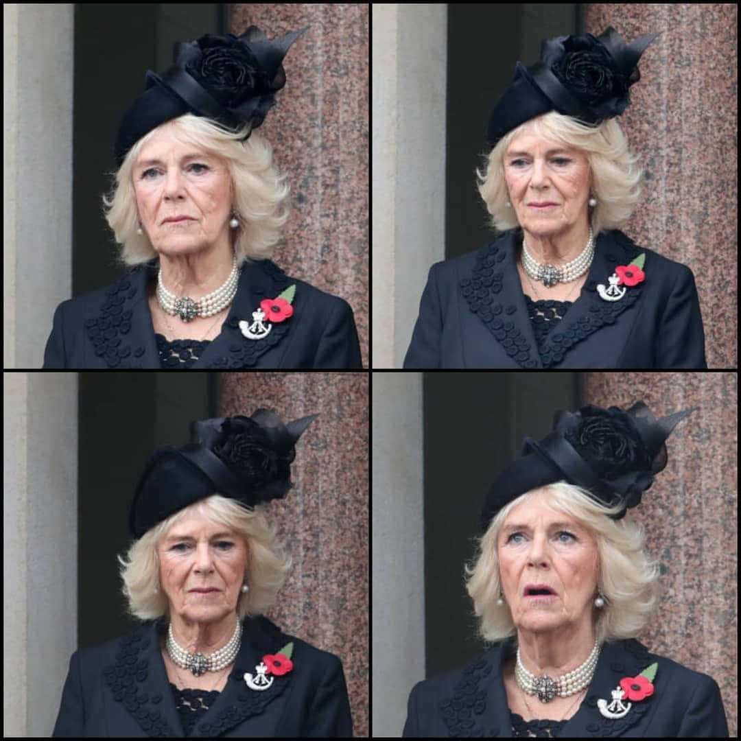 Queen Camilla Wearing Poppy Wallpaper